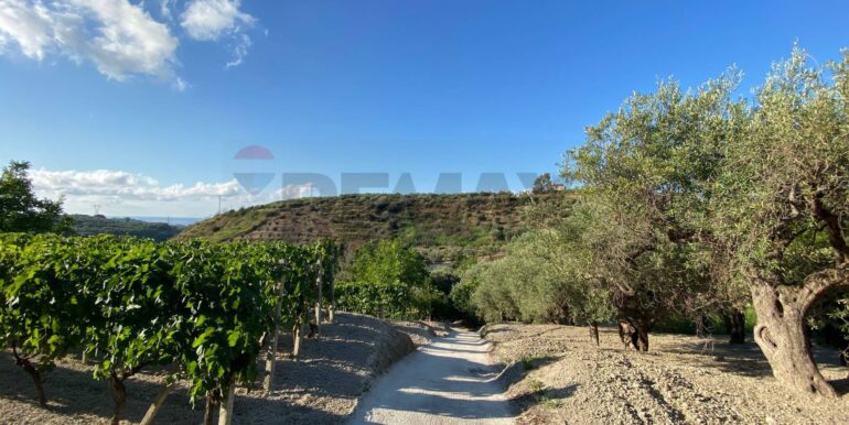 20250820150152-974690-3