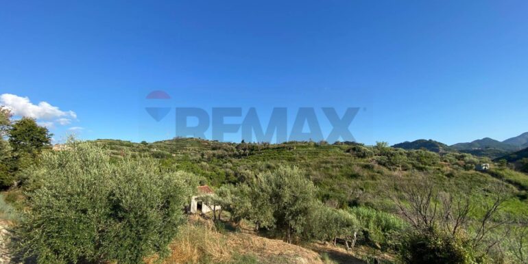 20250820150156-974690-4