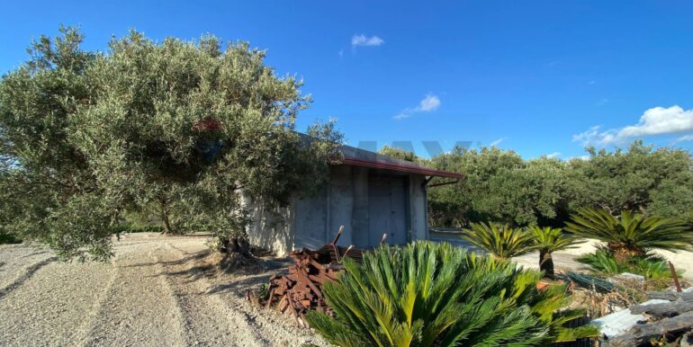 20250820150215-974690-9