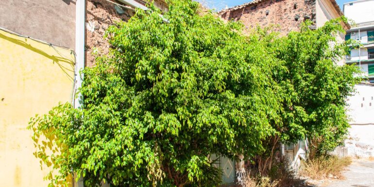 2025082095950-975086-14