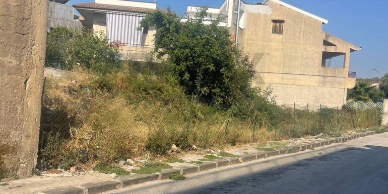 20250821114506-973261-9