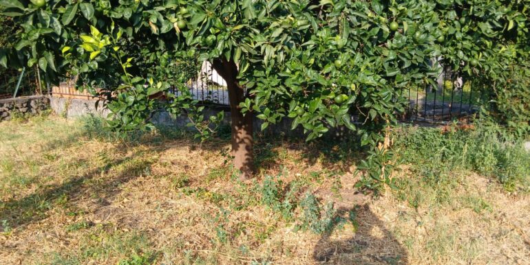 20250821120838-975261-19