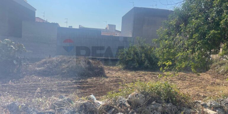 20250821173518-973343-5