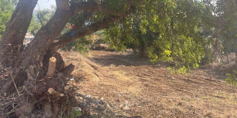 20250821173528-973343-8