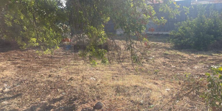 20250821173531-973343-9