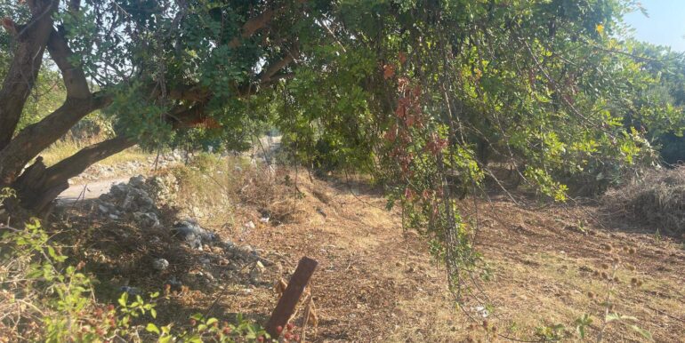 20250821173538-973343-11