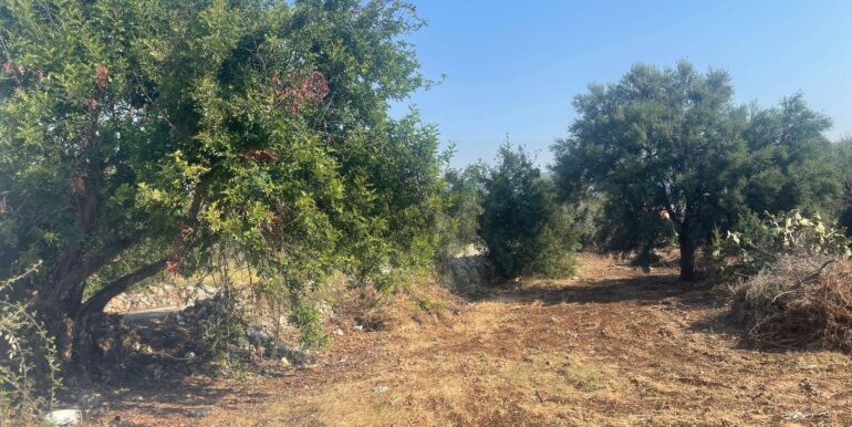 20250821173544-973343-13