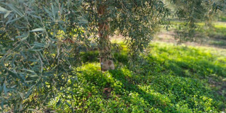 20250825122102-975545-2