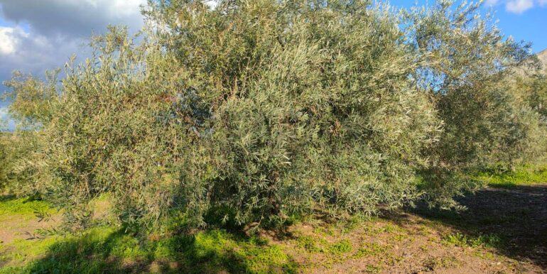 20250825122102-975545-3