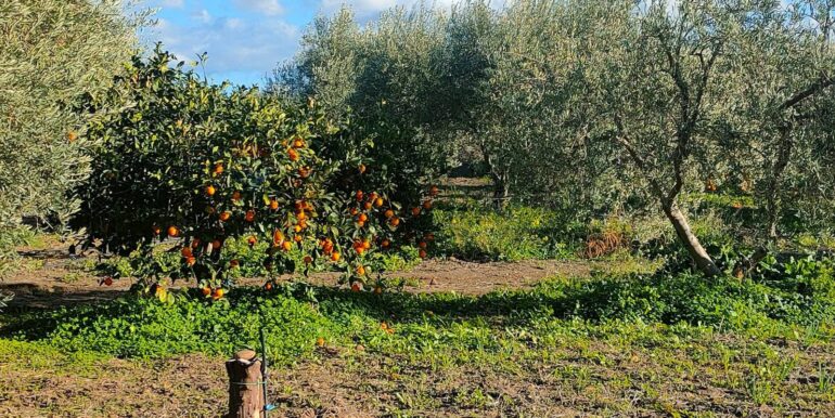 20250825122103-975545-4