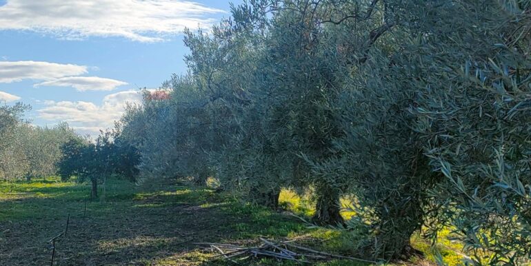 20250825122103-975545-5