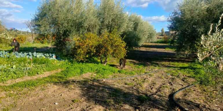 20250825122103-975545-6