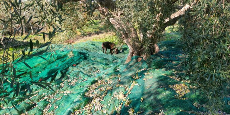 20250825122104-975545-7