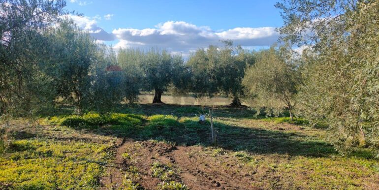 20250825122104-975545-8