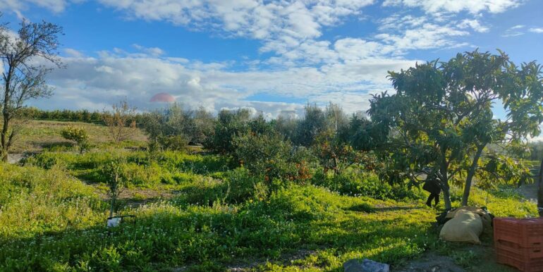 20250825122105-975545-10