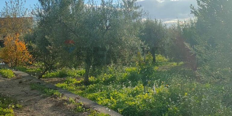 20250825122105-975545-9