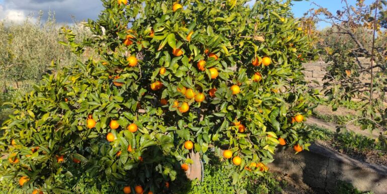 20250825122106-975545-12