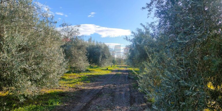 20250825122106-975545-14