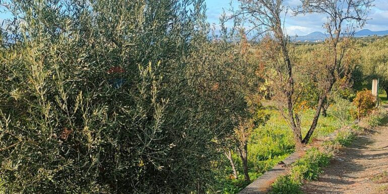 20250825122107-975545-15