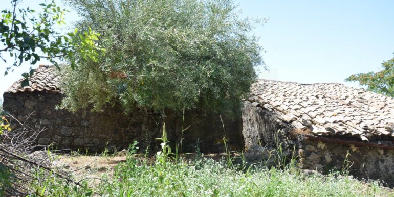 20250827151841-976001-42