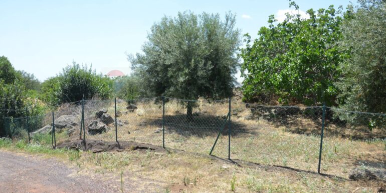 20250827151845-976001-52