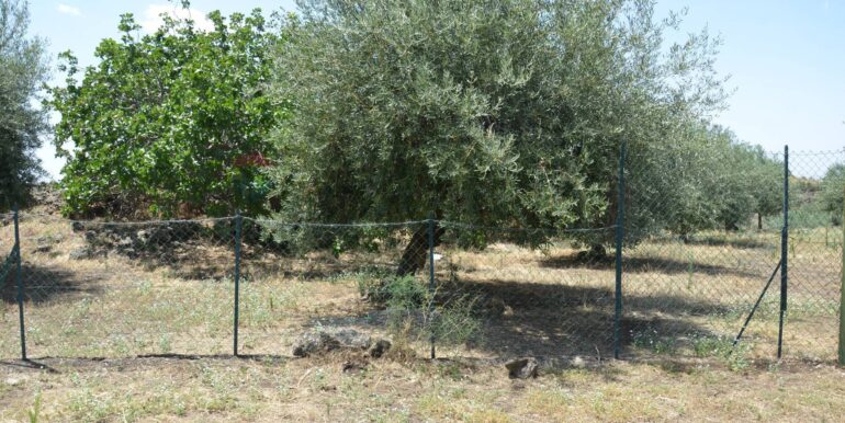 20250827151845-976001-53