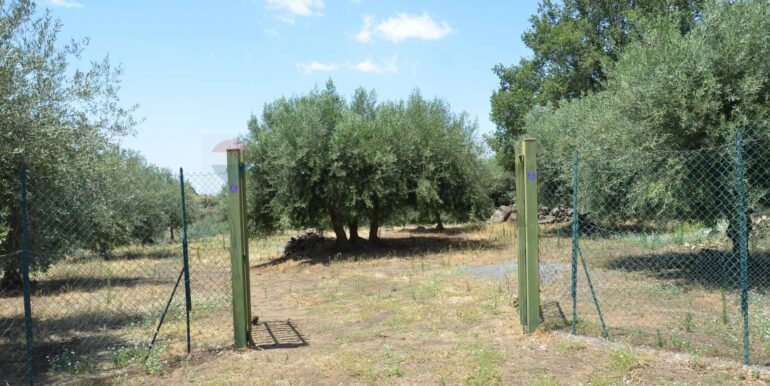 20250827151846-976001-54