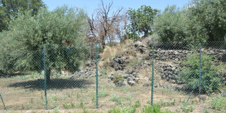 20250827151846-976001-55