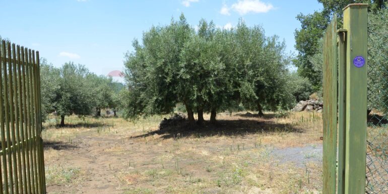 20250827151847-976001-56