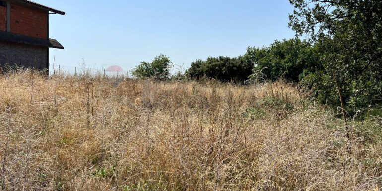 20250827230947-976076-1