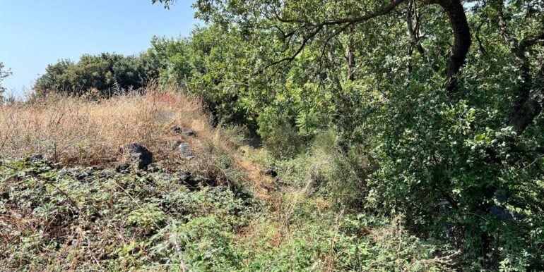 20250827230953-976076-2