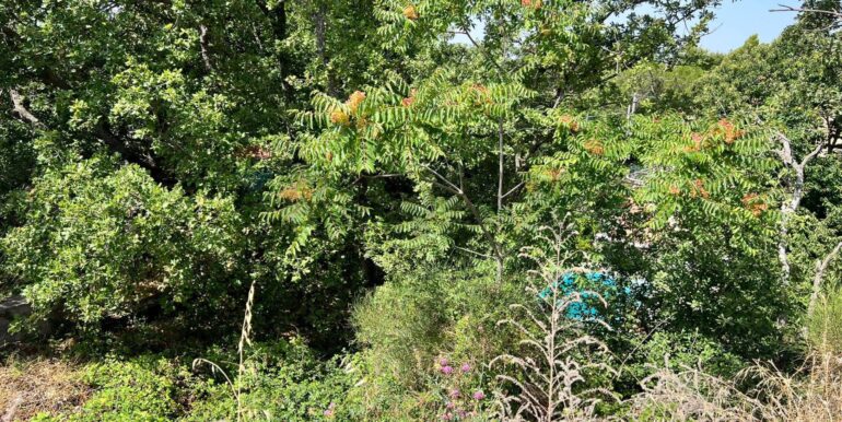 20250827230957-976076-3