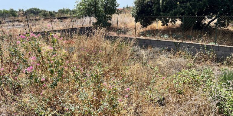 20250827231002-976076-4