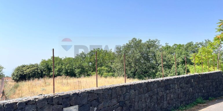 20250827231006-976076-5