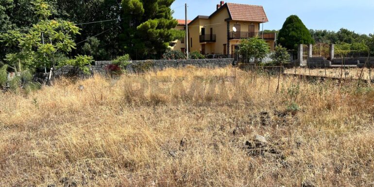 20250827231010-976076-6