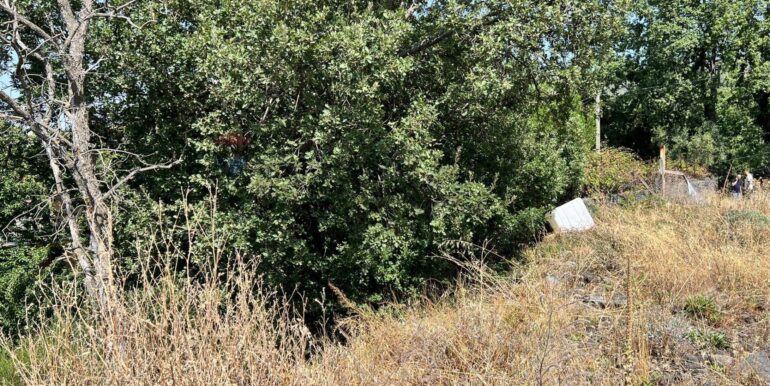 20250827231014-976076-7