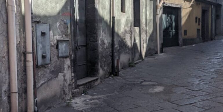 2025082784644-975719-3