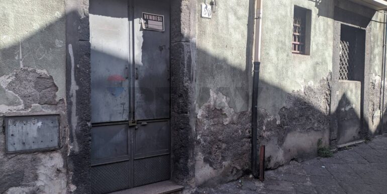 2025082784655-975719-7