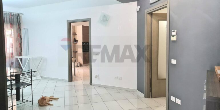 2025082982928-976086-1