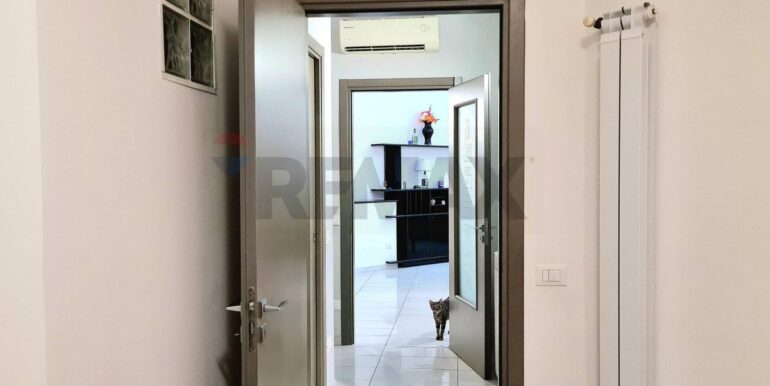 2025082982952-976086-9