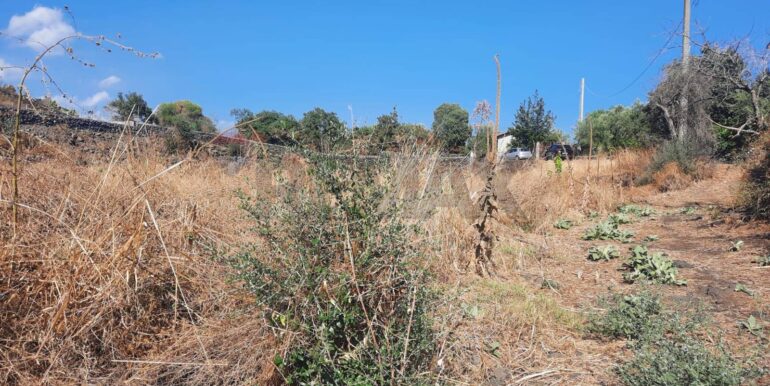 20250905183632-979229-2