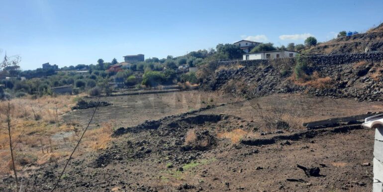 20250905183645-979229-6