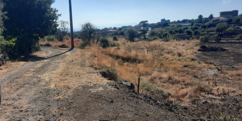 20250905183648-979229-7