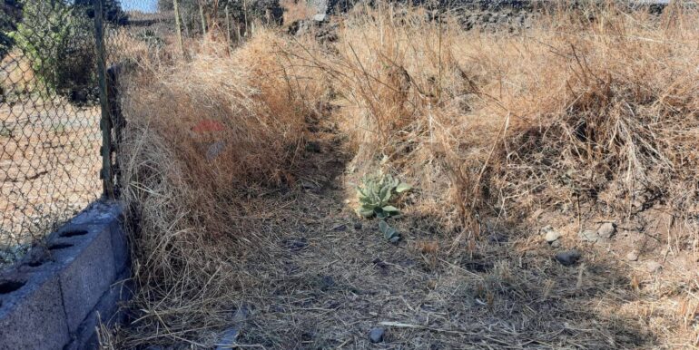 20250905183651-979229-8