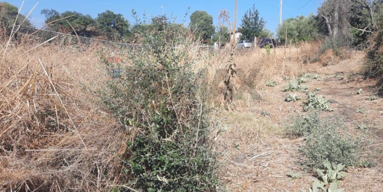 20250905183707-979229-13