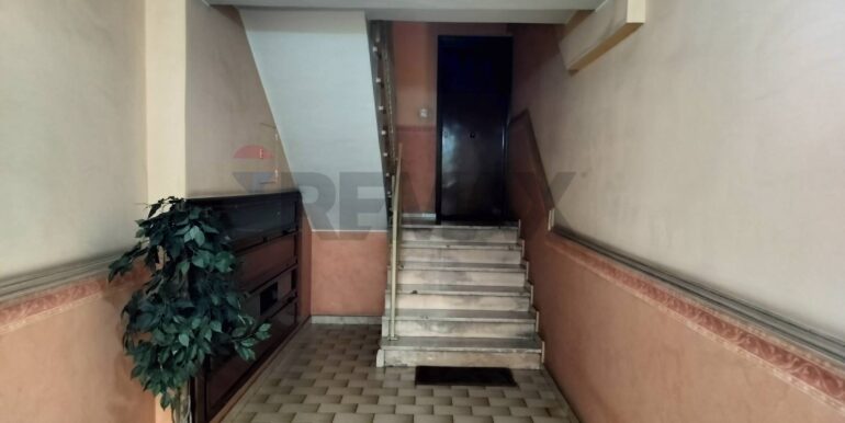 2025090792412-979649-5