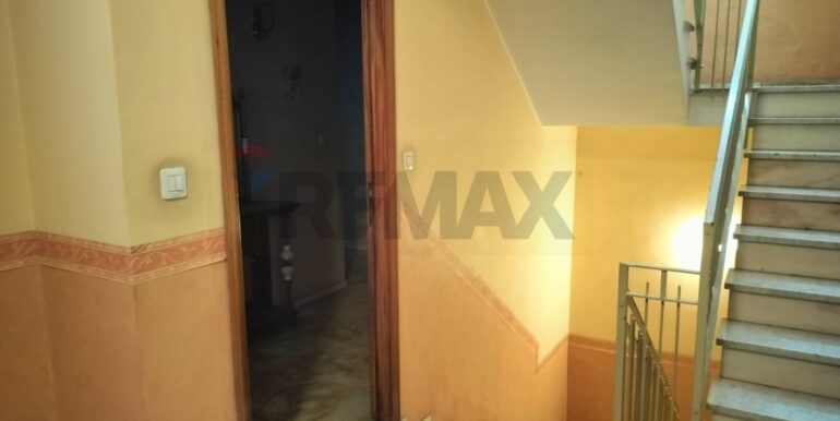 2025090792412-979649-7