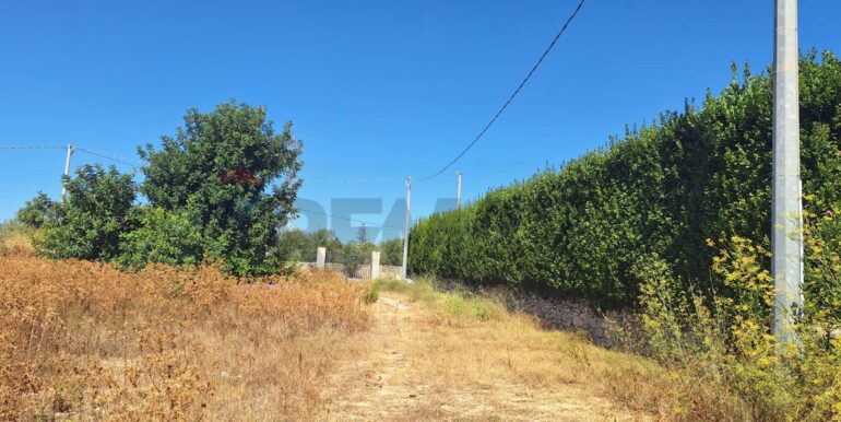 20250908123945-979832-2