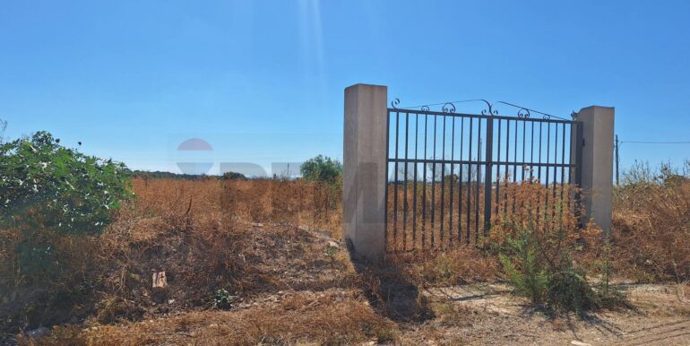 20250908123959-979832-7