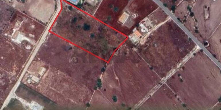 20250909111424-979832-13